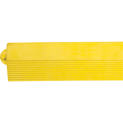 Rampe de bordure pour tapis Groupe Generik