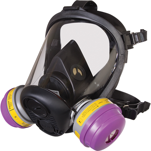 Respirateur &agrave; masque complet de s&eacute;rie RU6500 de North, Silicone, Grand Groupe Generik