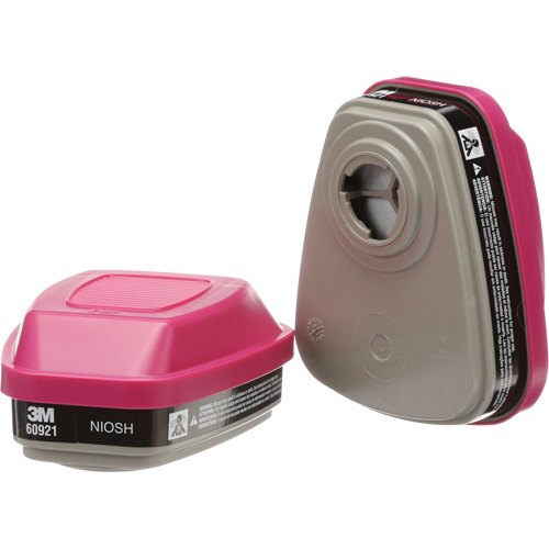 6000 Series Respirator Cartridges, Gas/Vapour Cartridge, Organic Vapour/P100 Groupe Generik