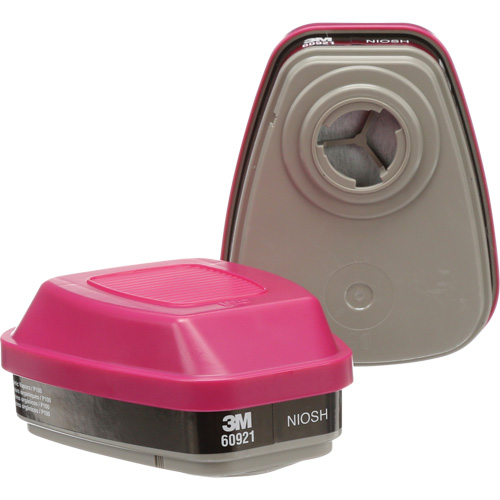 6000 Series Respirator Cartridges, Gas/Vapour Cartridge, Organic Vapour/P100 Groupe Generik