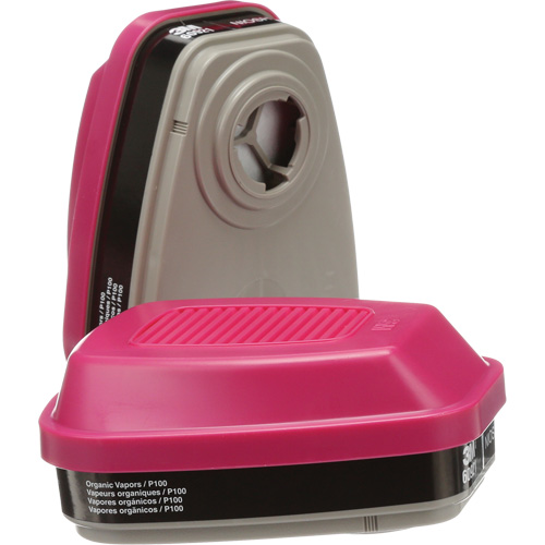6000 Series Respirator Cartridges, Gas/Vapour Cartridge, Organic Vapour/P100 Groupe Generik