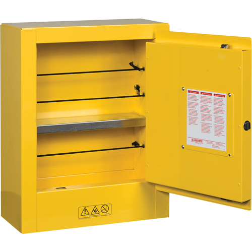 Mini-armoires de s&eacute;curit&eacute; Sure-Grip EX pour produits inflammables, 2 gal., 1 Porte(s), 17" La x 22" h x 8" p Groupe Generik