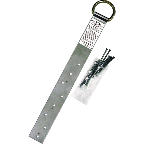 Ancrage simple pour toiture Miller, Anneau en D, Usage Permanent Groupe Generik