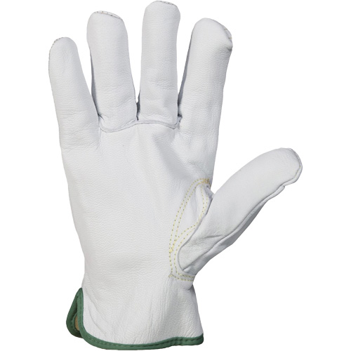 Gants r&eacute;sistant &agrave; la coupure et &agrave; l'arc &eacute;lectrique Endura, T-petit, 10" lo, 36 cal/cm², Niveau 3, NFPA 70E Groupe Generik