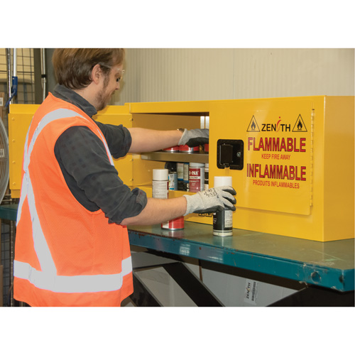 Armoire pour produits inflammables, 12 gal., 2 Porte(s), 43" La x 18" h x 18" p Groupe Generik