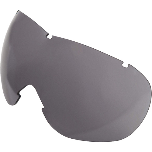 Lentille de rechange pour les lunettes de s&eacute;curit&eacute; &agrave; coques Uvex Sub-Zero, Antibu&eacute;e/anti-&eacute;gratignures, Gris, Uvex Sub-Zero Groupe Generik