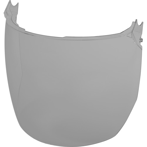 Lentilles de remplacement d&eacute;cran facial, Polycarbonate, Teinte Grise/fum&eacute;e Groupe Generik