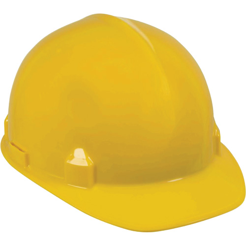 Casque de s&eacute;curit&eacute; SC-6, R&eacute;pond aux normes CSA type 1, Suspension Rochet, Non ventil&eacute; Groupe Generik