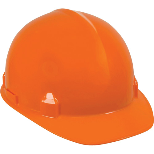 Casque de s&eacute;curit&eacute; SC-6, R&eacute;pond aux normes CSA type 1, Suspension Rochet, Non ventil&eacute; Groupe Generik
