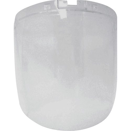 &eacute;cran antibrouillard de remplacement de la s&eacute;rie DP4, Polycarbonate, Teinte Transparent Groupe Generik