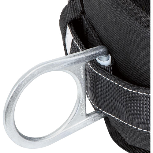 WB-6020-XXL Dispositif de retenue de s&eacute;curit&eacute; avec ceinture &agrave; deux anneaux en D et support lombaire rembourr&eacute; - 2T-grand Groupe Generik