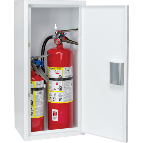 Armoire int&eacute;rieur pour extincteur, 12" la x 26" h x 9" p Groupe Generik