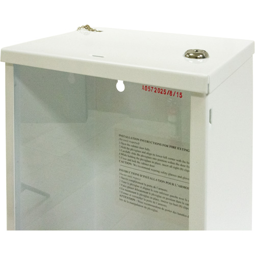 Armoire d'usage l&eacute;ger pour extincteur, 8" la x 22" h x 6" p Groupe Generik