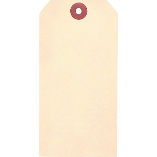 Manila Blank Tags, Cardstock, 1-7/8" W x 3-3/4" H Groupe Generik