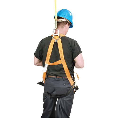 Miller&reg; Titan Contractor's Harnesses, CSA Certified, Class AP, 400 lbs. Cap. Groupe Generik
