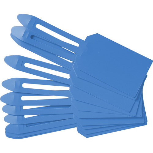 &eacute;tiquettes de cadenassage vierges en plastique, Plastique, 3-1/4" la x 5-4/5" h, Vierge Groupe Generik