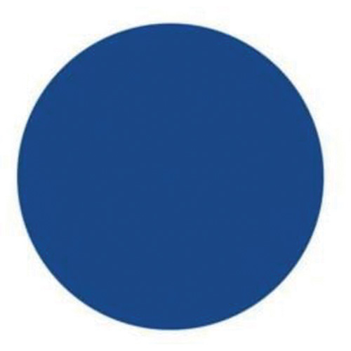 Round Write-On Labels, Circle, 3" L x 3" W, Blue Groupe Generik