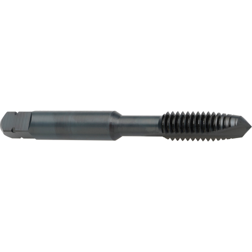 Taraud &agrave; entr&eacute;e h&eacute;licoidale, Acier rapide au cobalt, Filet de 8-32, 2-1/8" l Groupe Generik