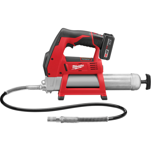 Ensemble pistolets graisseurs M12, Lithium-ion, 12 V Groupe Generik