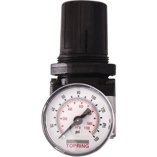 Regulators, 3/8" NPT, 150 PSI Max. PSI, Modular Groupe Generik
