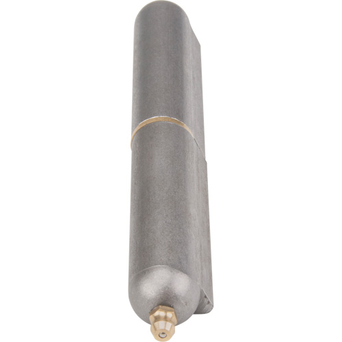 Charni&egrave;re &agrave; souder, 0,787" dia. x 5,906" lo, Acier doux a/goupille fixe en acier Groupe Generik