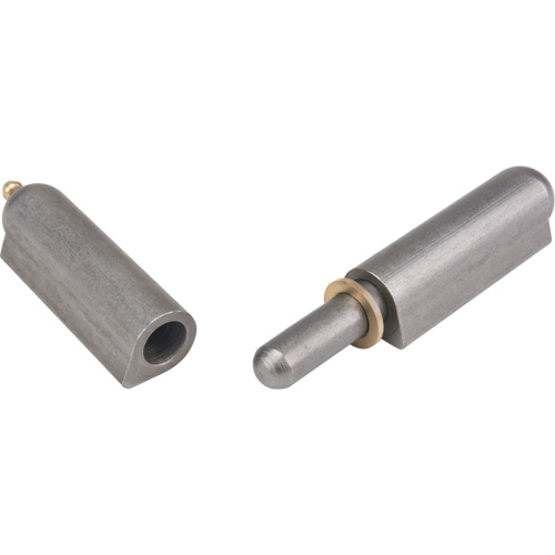 Charni&egrave;re &agrave; souder, 0,787" dia. x 5,906" lo, Acier doux a/goupille fixe en acier Groupe Generik