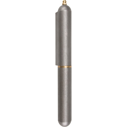 Charni&egrave;re &agrave; souder, 0,906" dia. x 7,874" lo, Acier doux a/goupille fixe en acier Groupe Generik