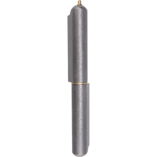 Charni&egrave;re &agrave; souder, 1,102" dia. x 10,236" lo, Acier doux a/goupille fixe en acier Groupe Generik
