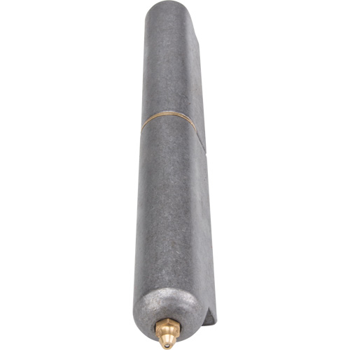 Charni&egrave;re &agrave; souder, 1,102" dia. x 10,236" lo, Acier doux a/goupille fixe en acier Groupe Generik