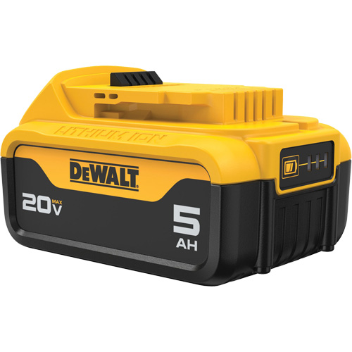 Bloc-piles Max XR Premium, Lithium-ion, 20 V, 5 A Groupe Generik