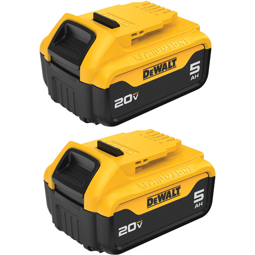 Max XR&reg; Premium Battery Pack, Lithium-Ion, 20 V, 5 A Groupe Generik