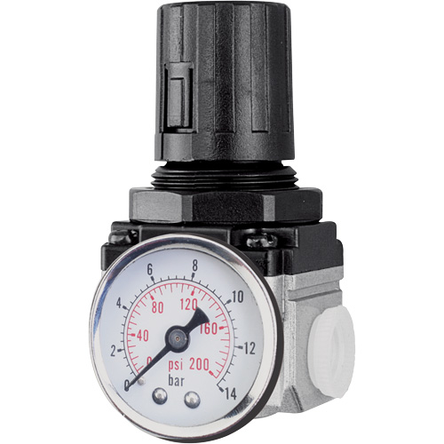Air Regulator (Gauge Included), 1/2" NPT, 220 PSI Max. PSI, Modular Groupe Generik