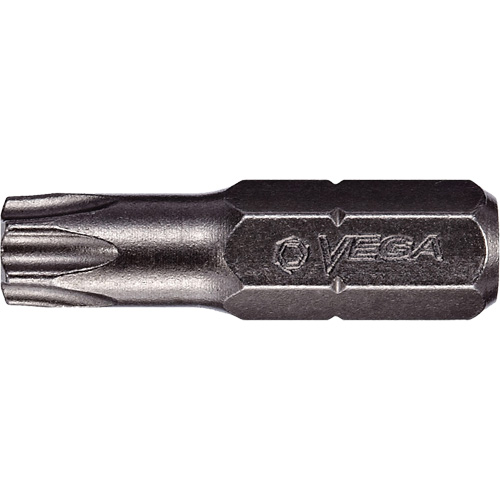 Tamper Insert Bit Groupe Generik