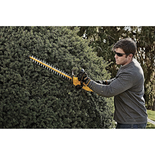 Max Cordless Hedge Trimmer, 22", 20 V, Battery Powered Groupe Generik