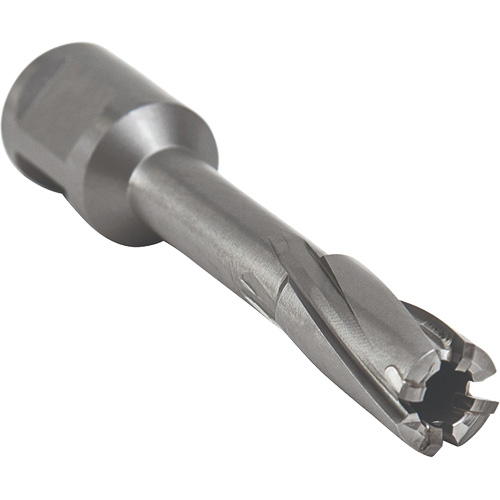 Core Cut Annular Cutter with Weldon Shank, 12 mm Diameter, Carbide, 55 mm Depth of Cut, 3/4" Shank Groupe Generik