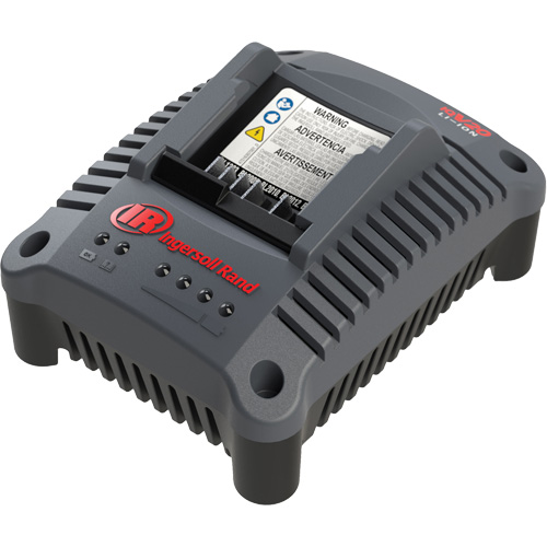 Chargeur de batterie compact IQV20, 20 V, Lithium-ion Groupe Generik