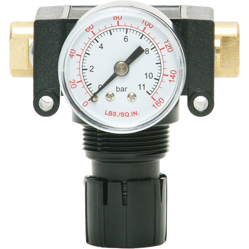 MODULAIR 200 Acetal Piston Regulator, 1/4" NPT, 150 PSI Max. PSI, In Line/Modular Groupe Generik