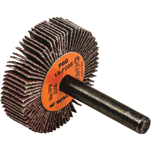 Disques &agrave; lamelles - Meules &agrave; lamelles Coolcut, Oxyde d'aluminium, Grain 80, 1-1/2" x 3/8" x 1/4" Groupe Generik