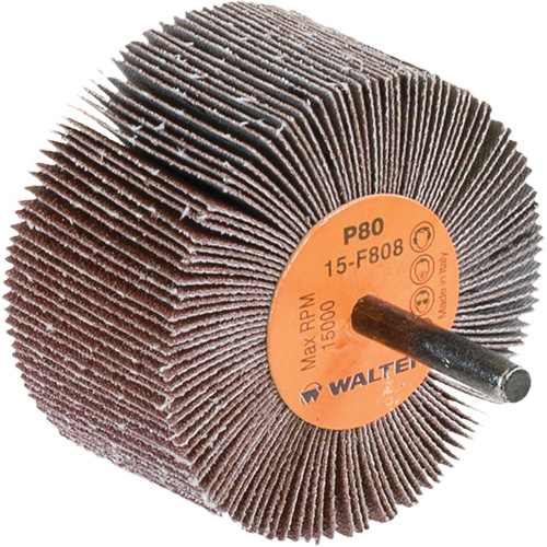 Disques &agrave; lamelles - Meules &agrave; lamelles Coolcut, Oxyde d'aluminium, Grain 80, 3" x 1-1/2" x 1/4" Groupe Generik