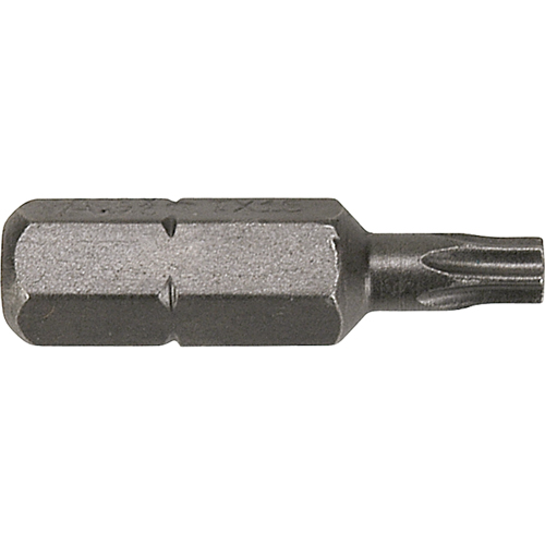 Embouts &agrave; ins&eacute;rer, Torx, T-8, Prise 1/4" Groupe Generik