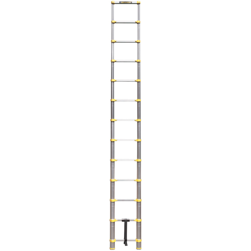 &eacute;chelle t&eacute;lescopique, 3' - 12', Aluminium, Capacit&eacute; de 250 lb, Type 1 Groupe Generik
