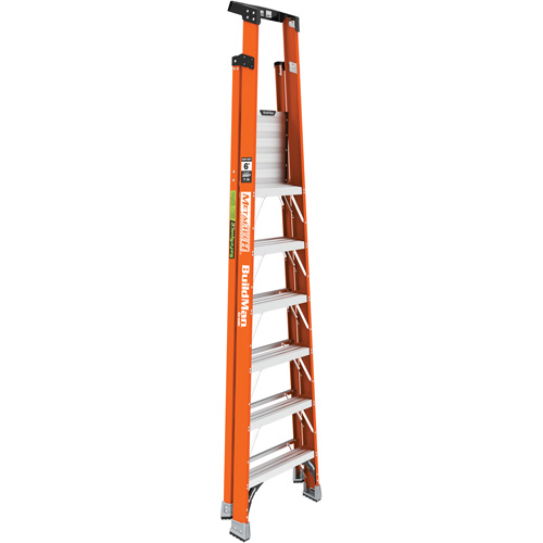 Escabeau avec plateforme Safespace, 6', Cap. De 300 lb Groupe Generik