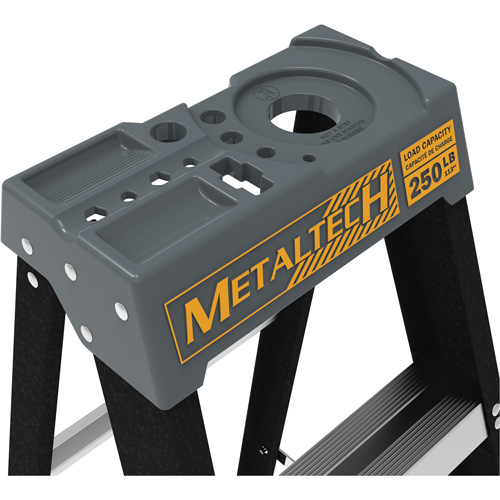 Escabeau avec plateau &agrave; peinture, 8', Fibre de verre, Capacit&eacute; 250 lb, Type 1 Groupe Generik