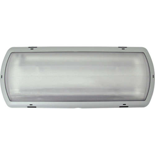 Luminaire de secours Tempesta, Plastique, DEL, 120 - 347 V Groupe Generik