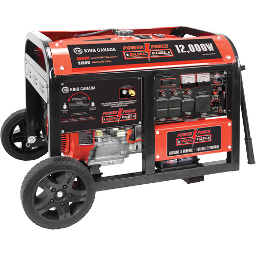 Gasoline/Propane Generator with Electric Start Groupe Generik