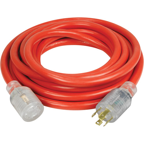 Rallonge pour g&eacute;n&eacute;ratrice &agrave; quatre prises, Ext&eacute;rieur, AWG 10, 30 A, 4 prise(s), 25' Groupe Generik