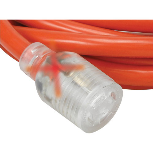 Rallonge pour g&eacute;n&eacute;ratrice &agrave; quatre prises, Ext&eacute;rieur, AWG 10, 30 A, 4 prise(s), 25' Groupe Generik