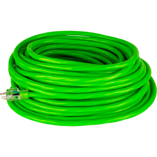 Cordon rallonge de calibre industriel, Toutes saisons, SJTW, AWG 10/3, 15 A, 50' Groupe Generik