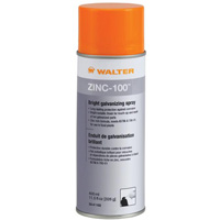 ZINC-100 Bright Galvanizing Spray, Aerosol Can Groupe Generik
