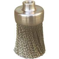 Brosses plates, rondes ou Roto Groupe Generik